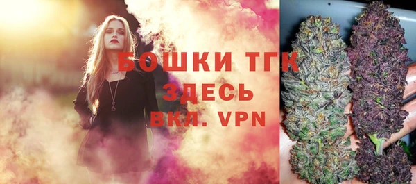 индика Балабаново