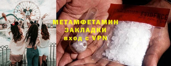 индика Балабаново